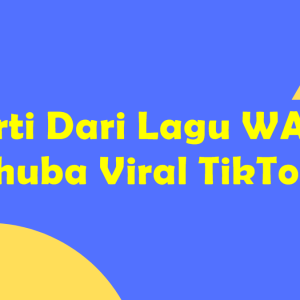 Arti Dari Lagu WAP Shuba Viral TikTok