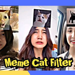 Filter IG Niruin Muka Kucing Terbaru 2022, Yuk Cek Cara Mendapatkannya!