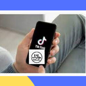 PP Halal TikTok Terbaru Viral, Ini Dia Cara Downloadnya!