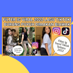 Filter IG Terbaru Burung Puyuh Dimakan Biawak, Begini Cara Mendapatkannya!