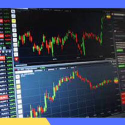 Mau Tahu Cara Bermain Trading Forex Untuk Pemula? Ini Dia!